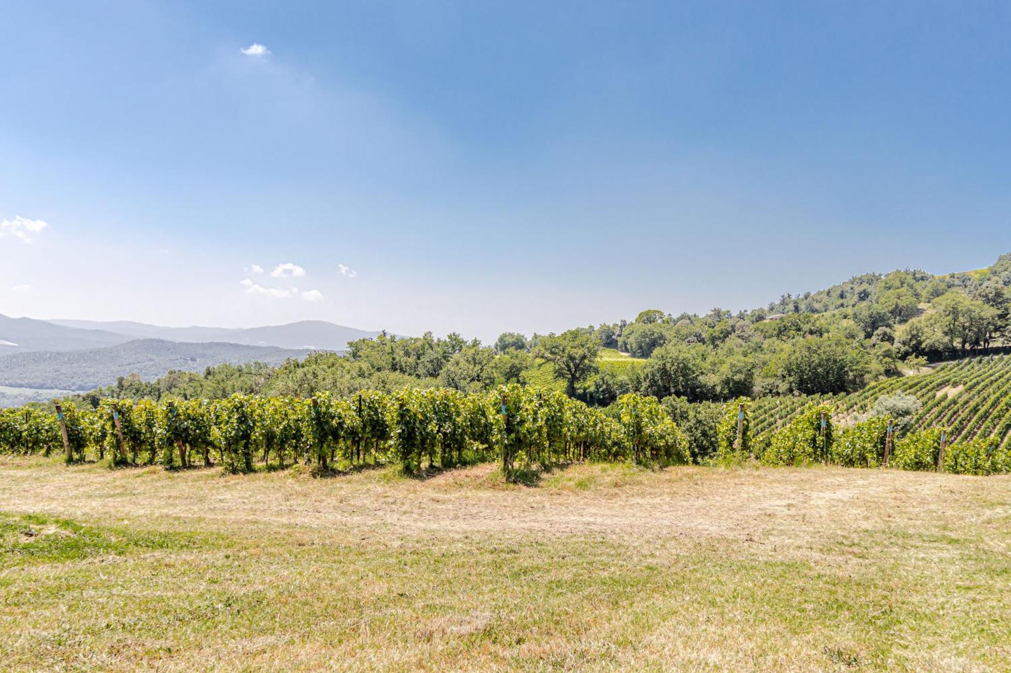Chateau La Siroque Montecatini Val di Cecina Εξωτερικό φωτογραφία